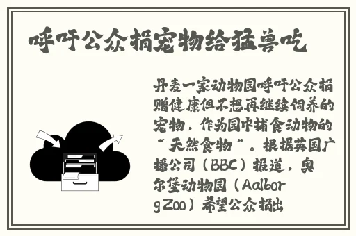 掀起裙子跨开双腿运动
